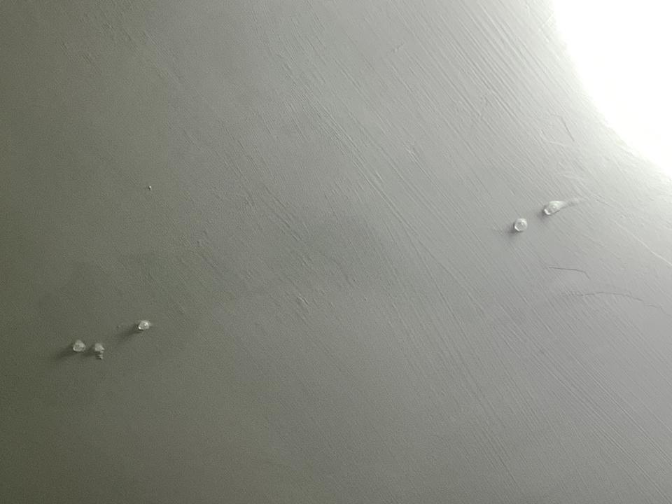 抓漏案件圖片