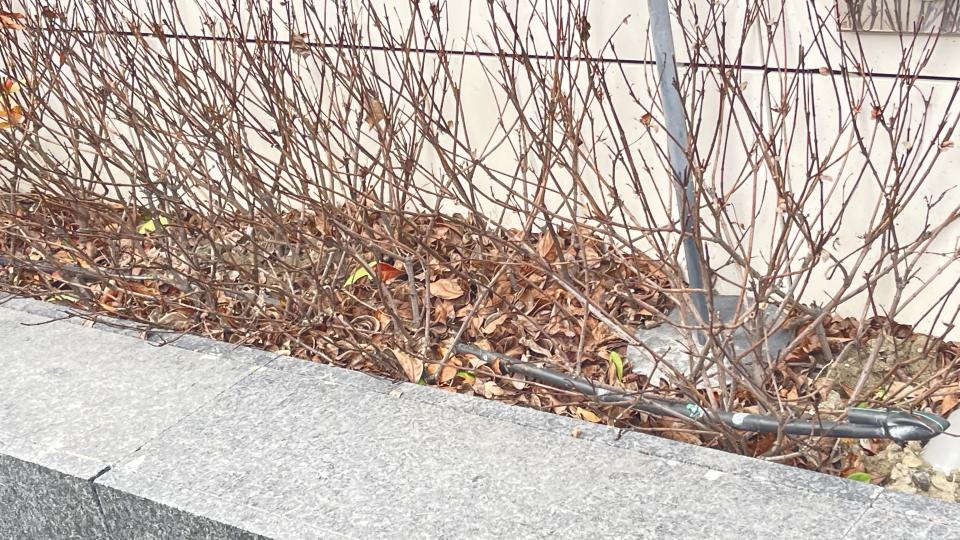 花園自動灑水系統案件圖片