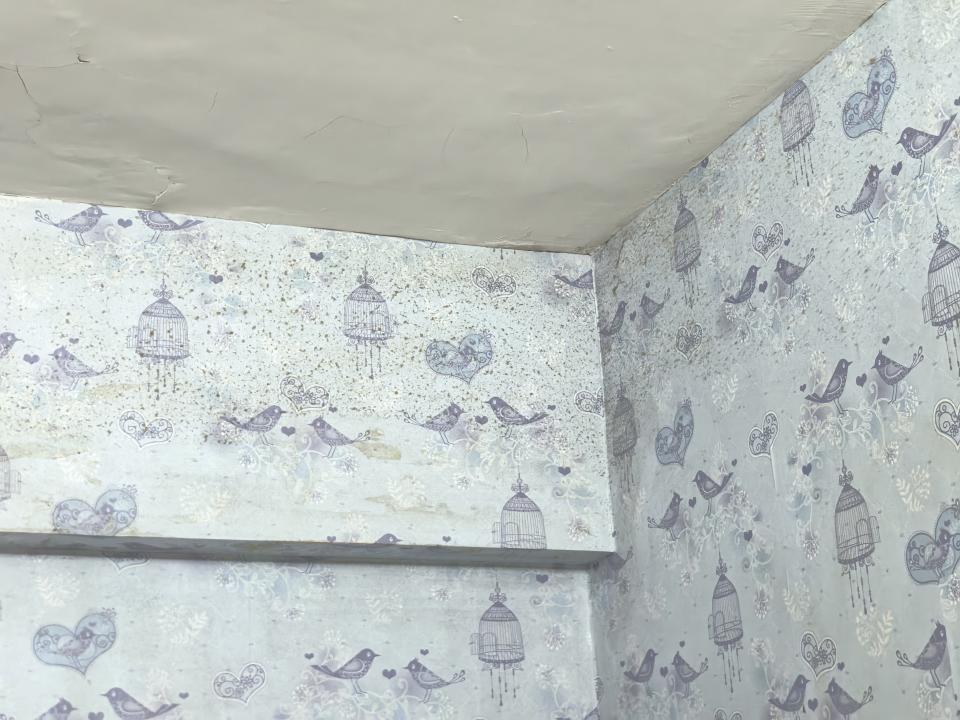 壁紙清除案件圖片