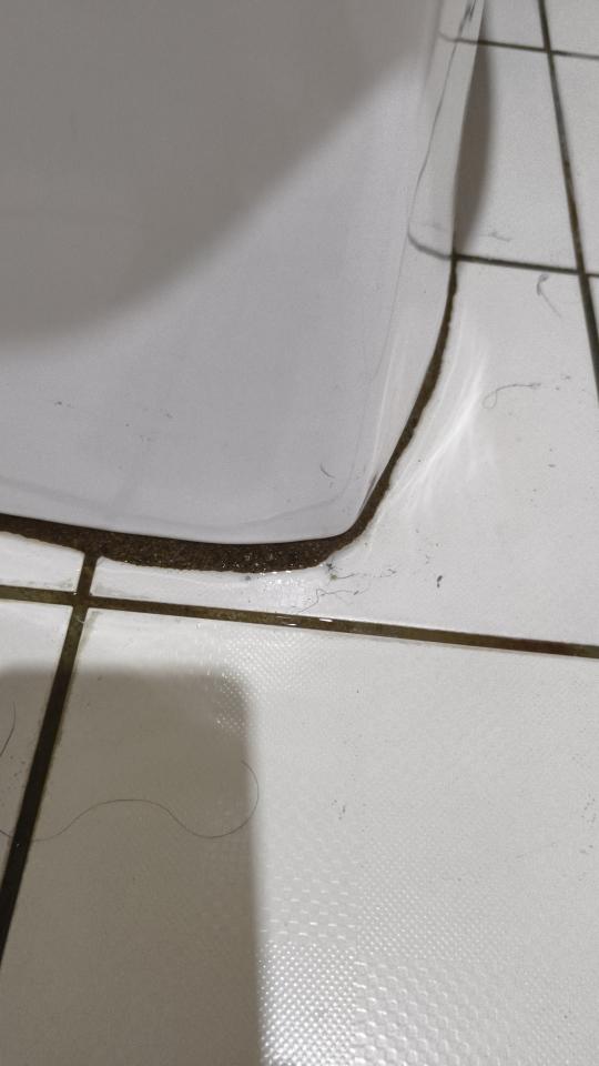 馬桶裝修案件圖片
