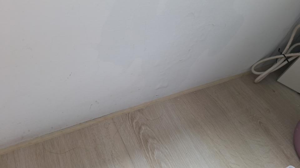 抓漏案件圖片