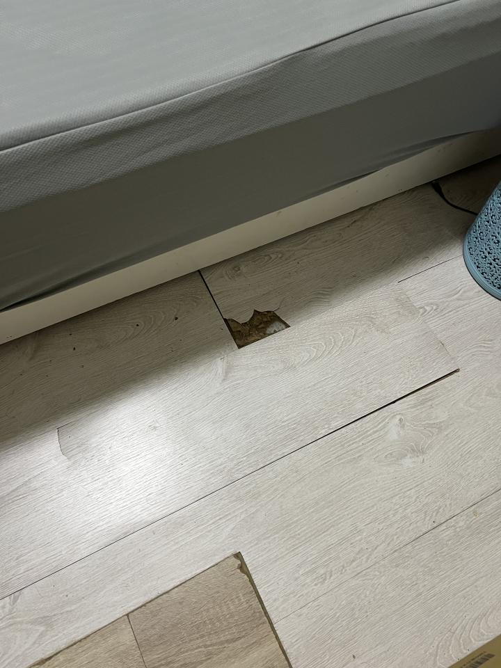 拆除工程案件圖片