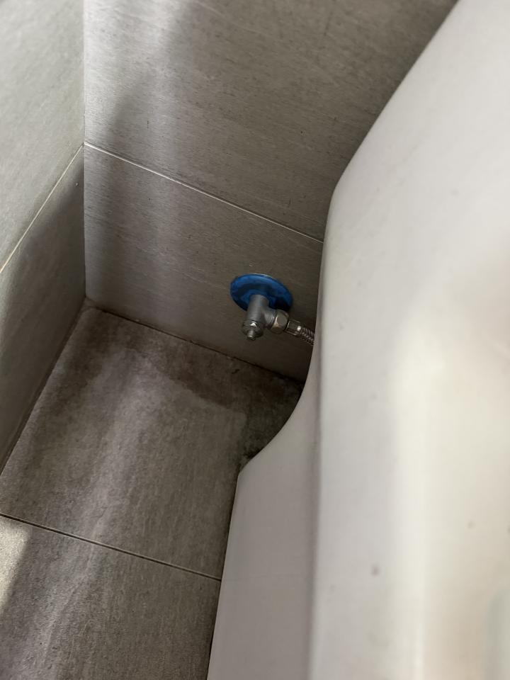 馬桶裝修案件圖片