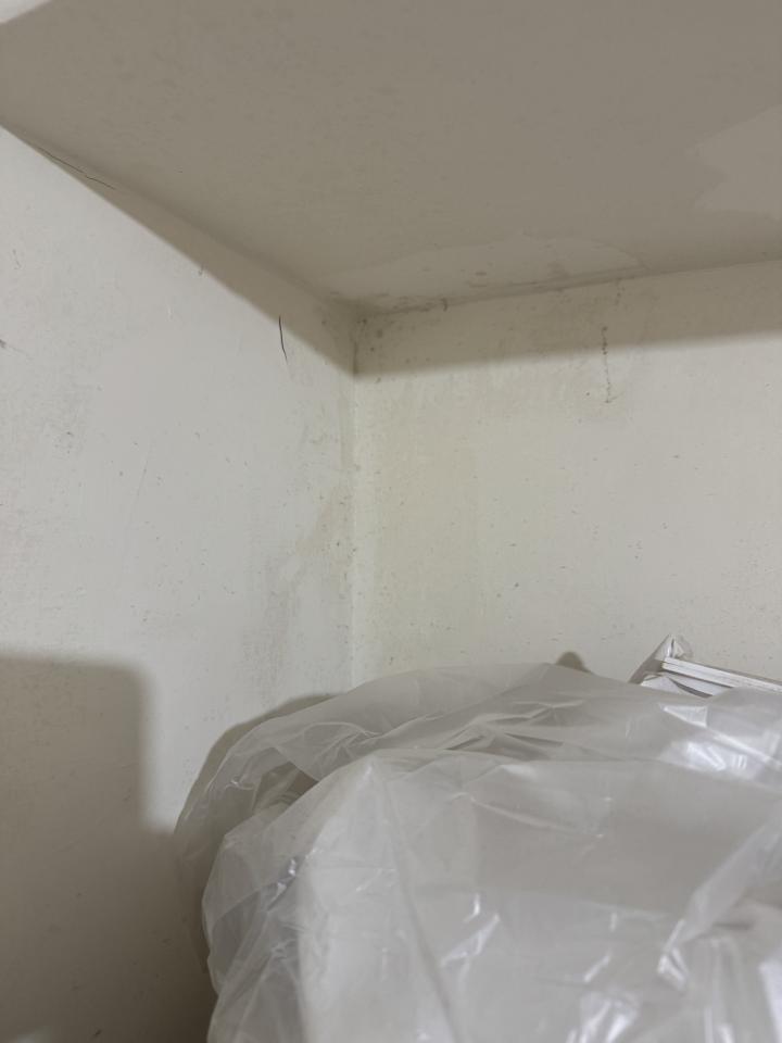 壁癌處理案件圖片