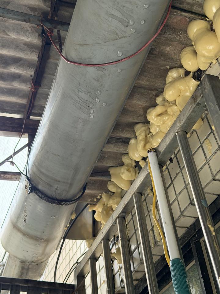 漏水處理案件圖片