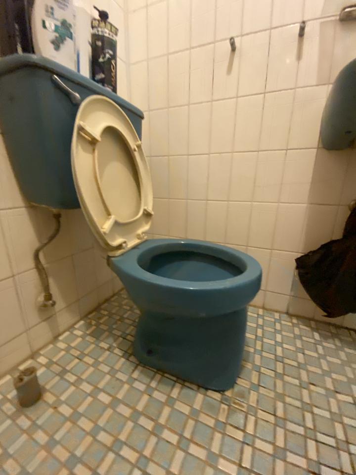 免治馬桶裝修案件圖片