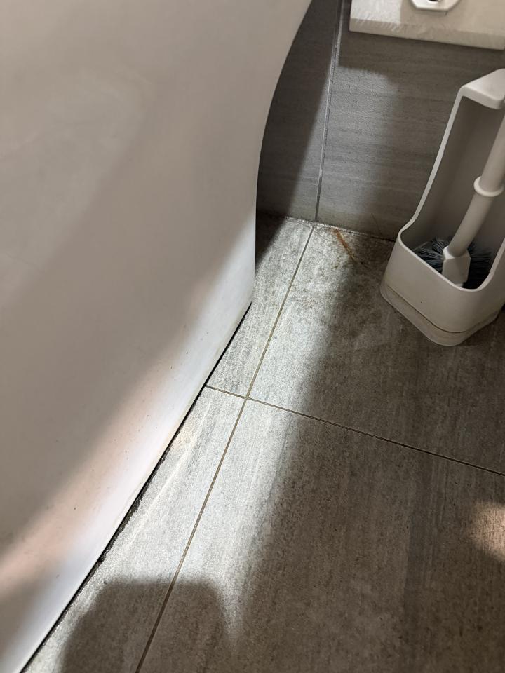 馬桶裝修案件圖片