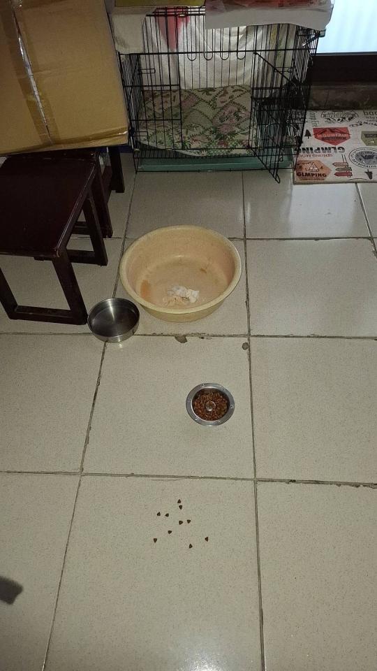 漏水處理案件圖片