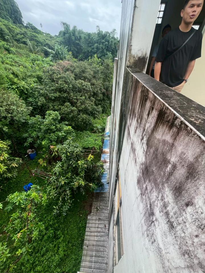 鷹架出租案件圖片