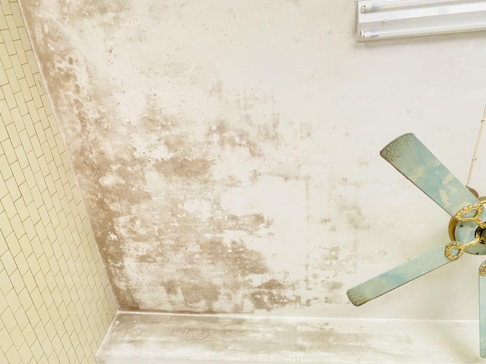 除霉案件圖片