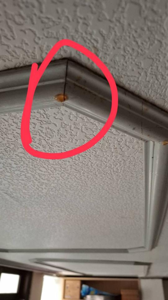 漏水處理案件圖片