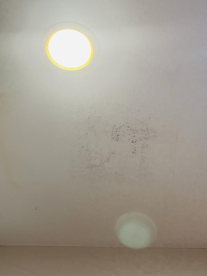 抓漏案件圖片