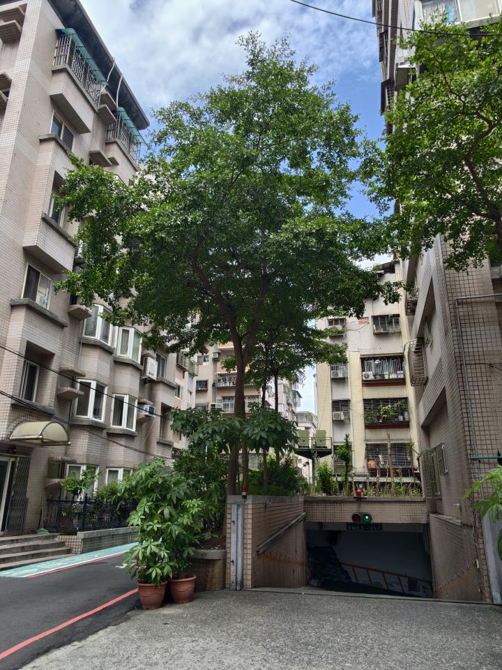 園藝維護案件圖片