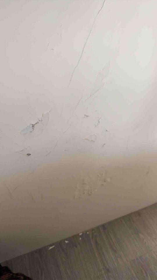 漏水處理案件圖片
