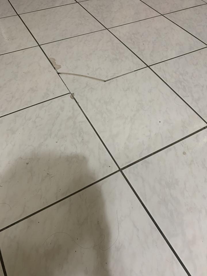 泥作/水泥施工案件圖片