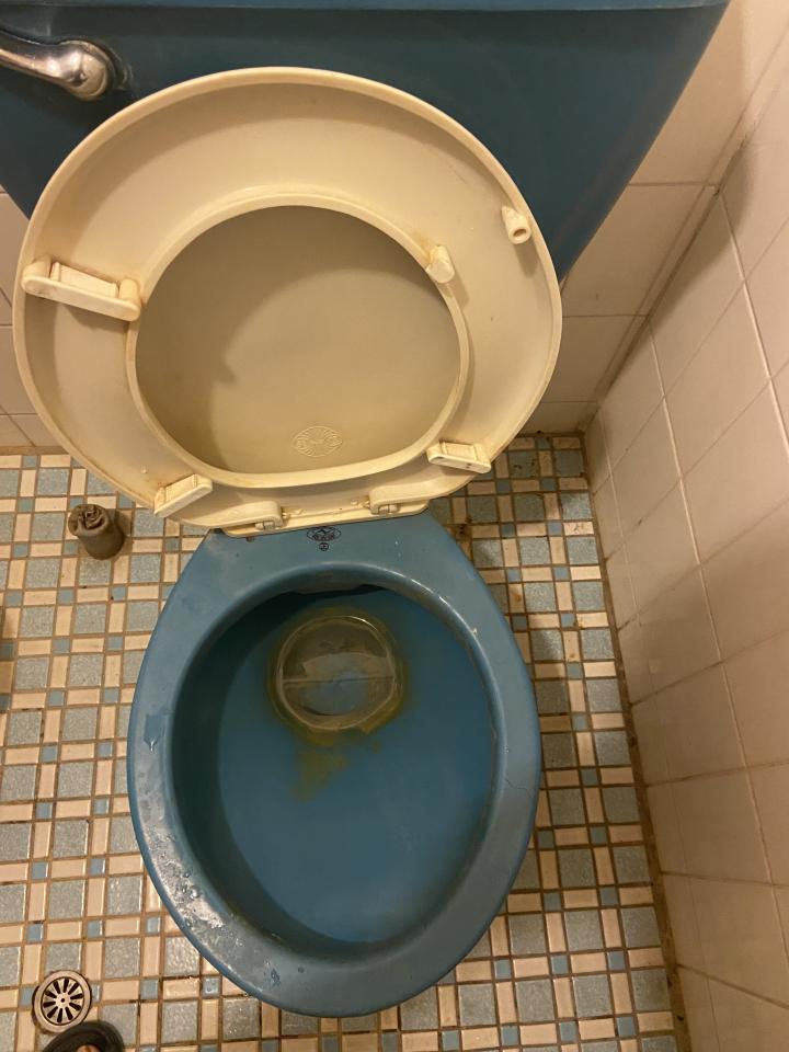 免治馬桶裝修案件圖片
