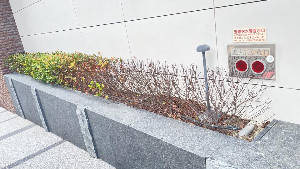 花園自動灑水系統案件圖片