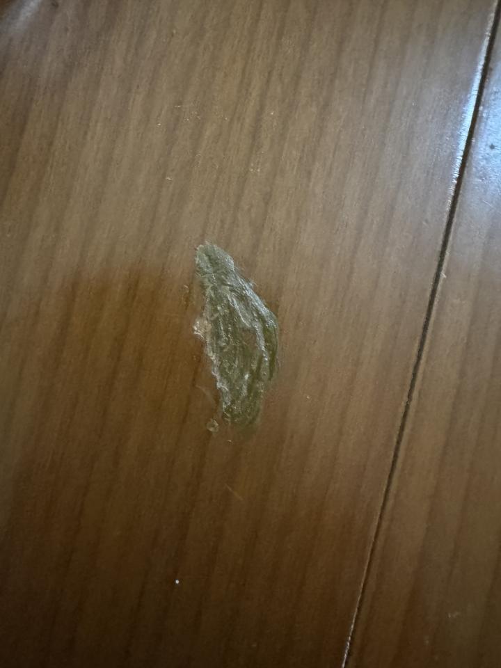 地板維修案件圖片