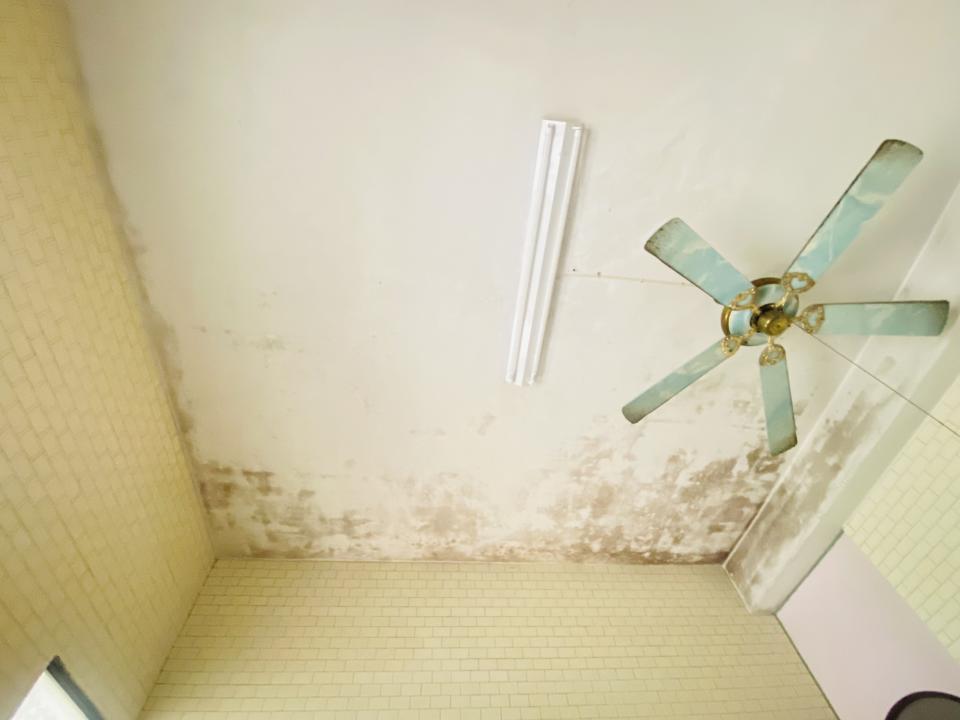 除霉案件圖片