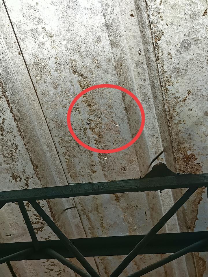 採光罩案件圖片