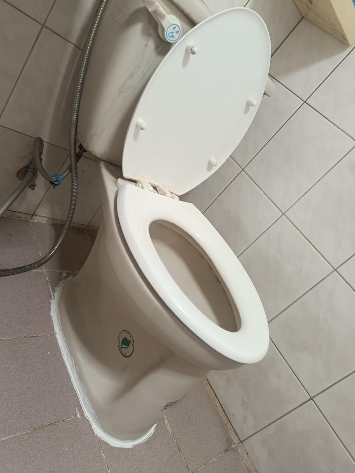 馬桶裝修案件圖片