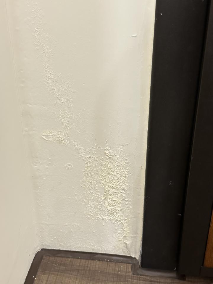抓漏案件圖片