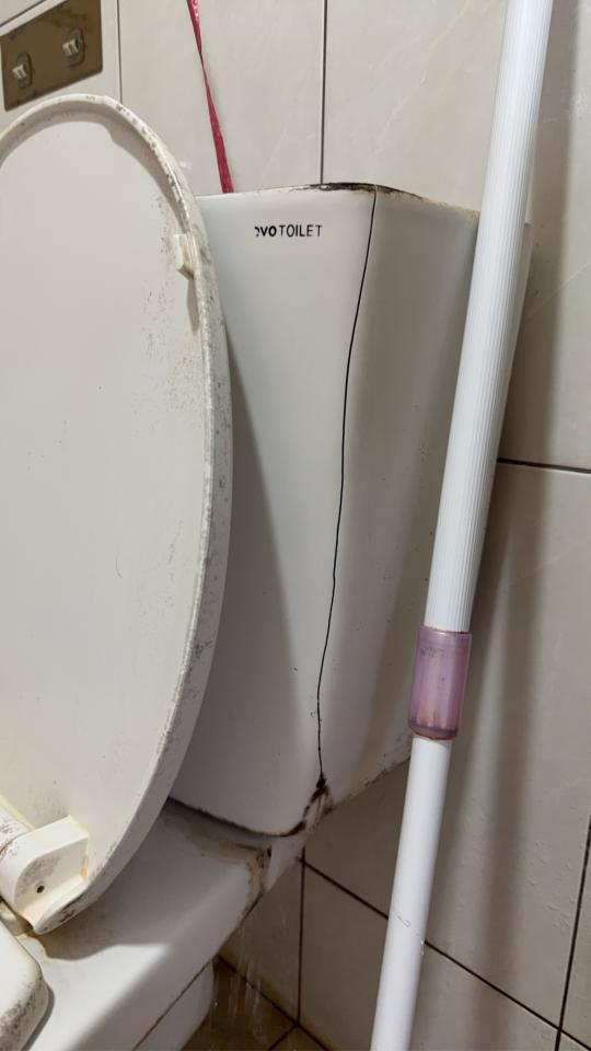 馬桶裝修案件圖片