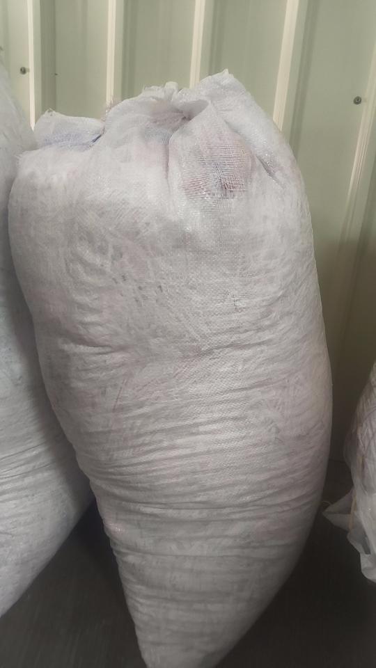 載貨運輸服務案件圖片