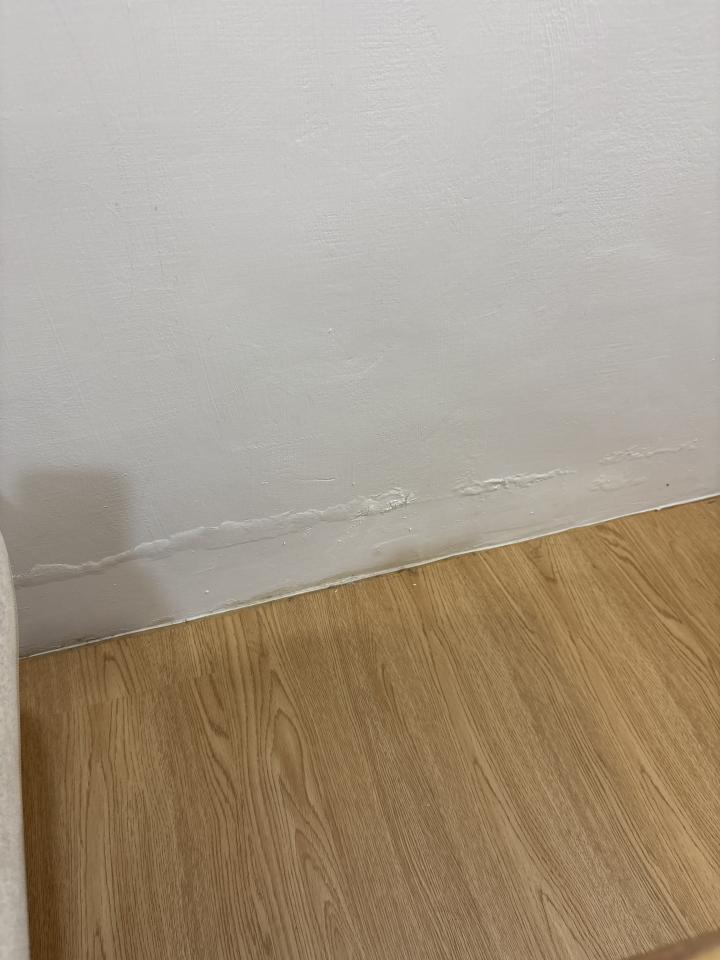 壁癌處理案件圖片