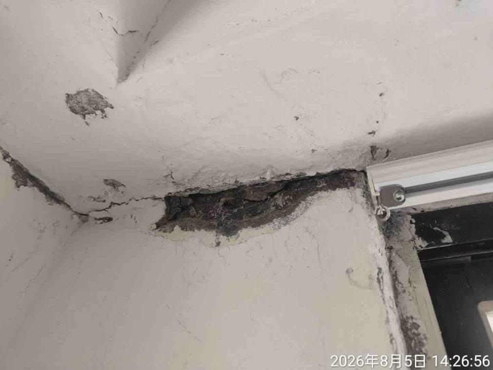 油漆工程案件圖片