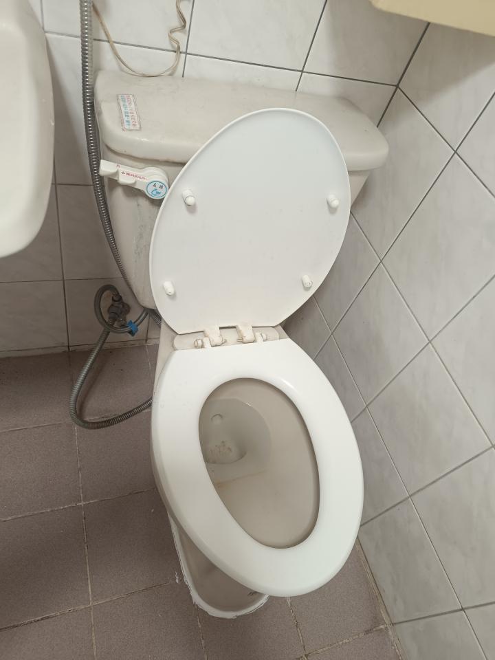 馬桶裝修案件圖片