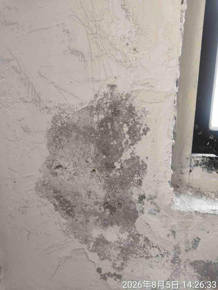 油漆工程案件圖片