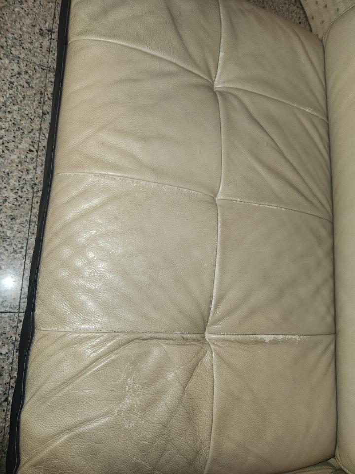 沙發修理案件圖片