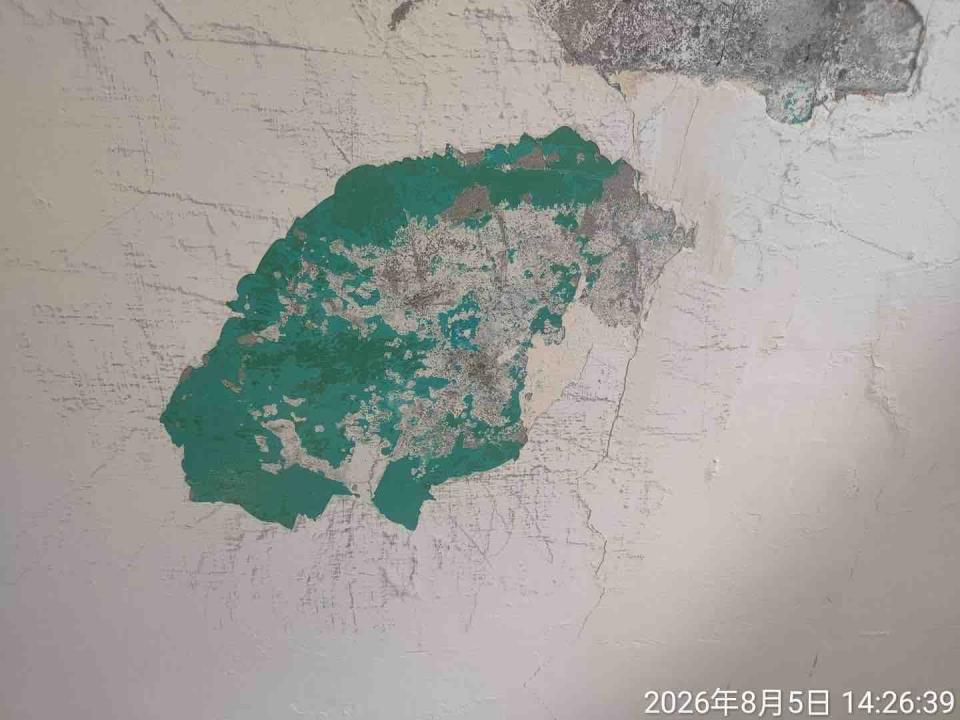 油漆工程案件圖片