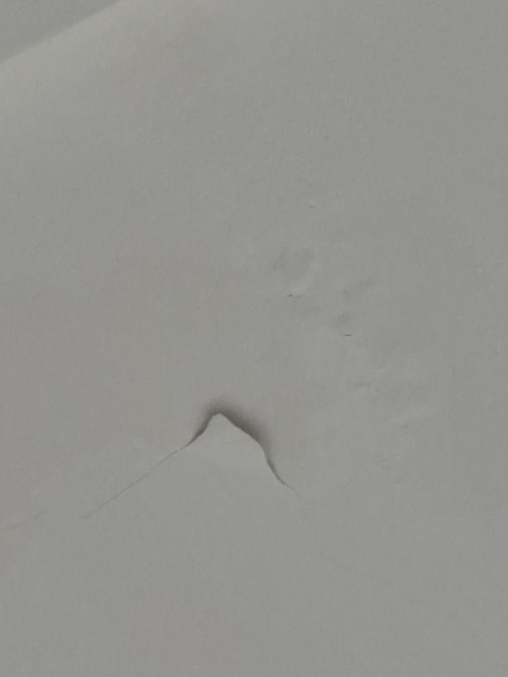 抓漏案件圖片