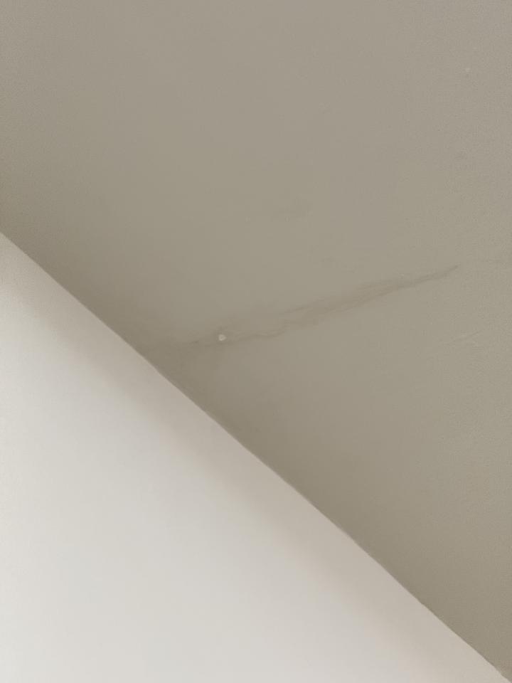 抓漏案件圖片