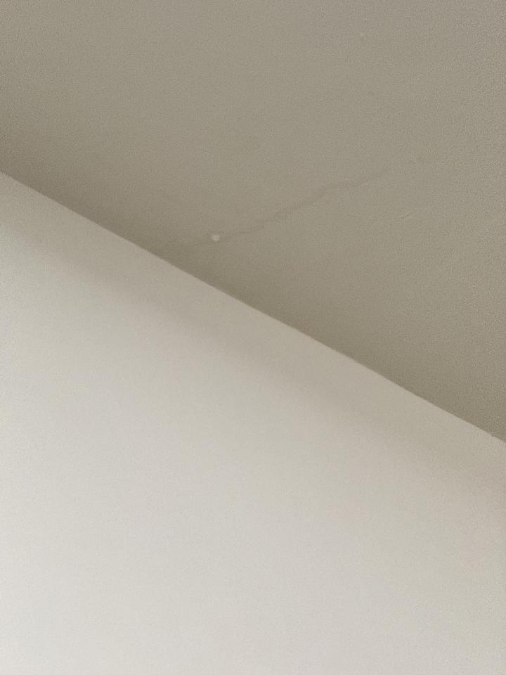 抓漏案件圖片