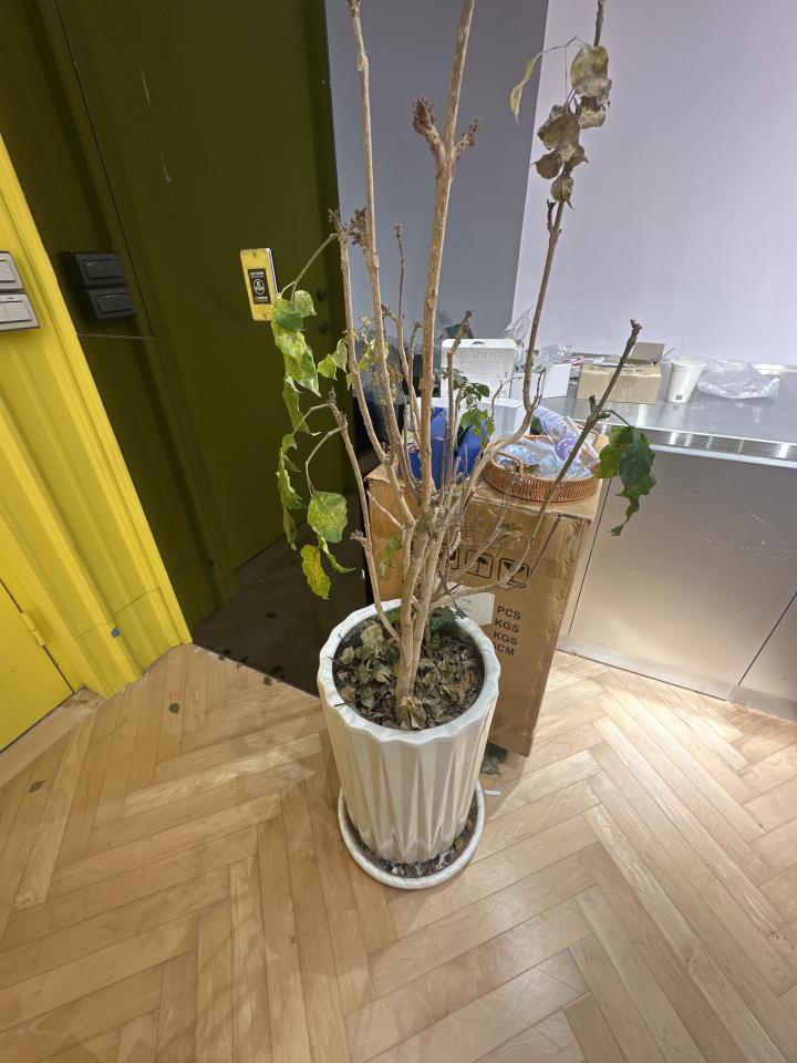 大型垃圾回收案件圖片