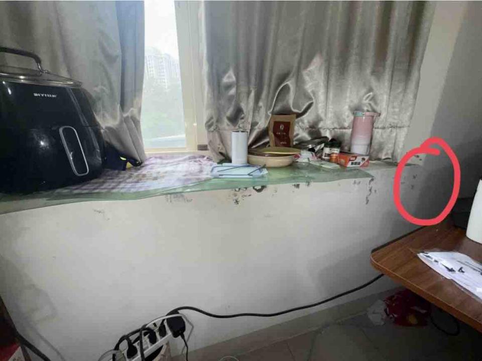 抓漏案件圖片