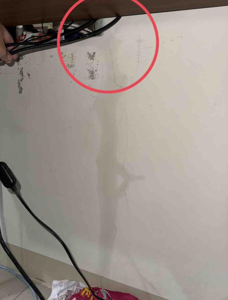 抓漏案件圖片