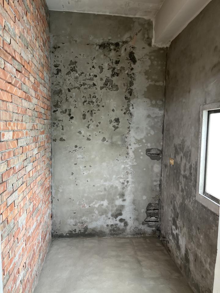 泥作/水泥施工案件圖片