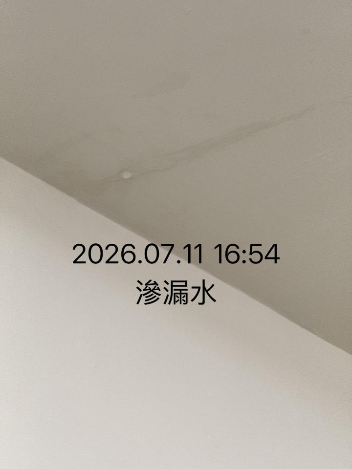 抓漏案件圖片