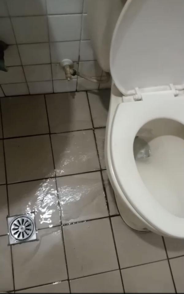 馬桶裝修案件圖片
