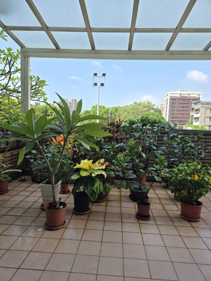 花園自動灑水系統案件圖片
