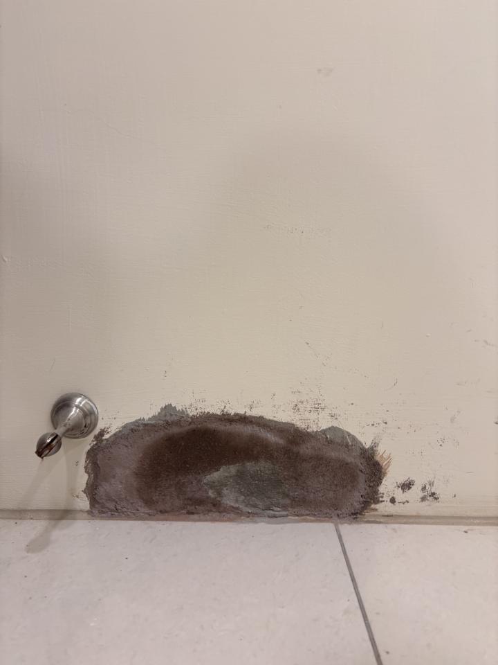 油漆工程案件圖片