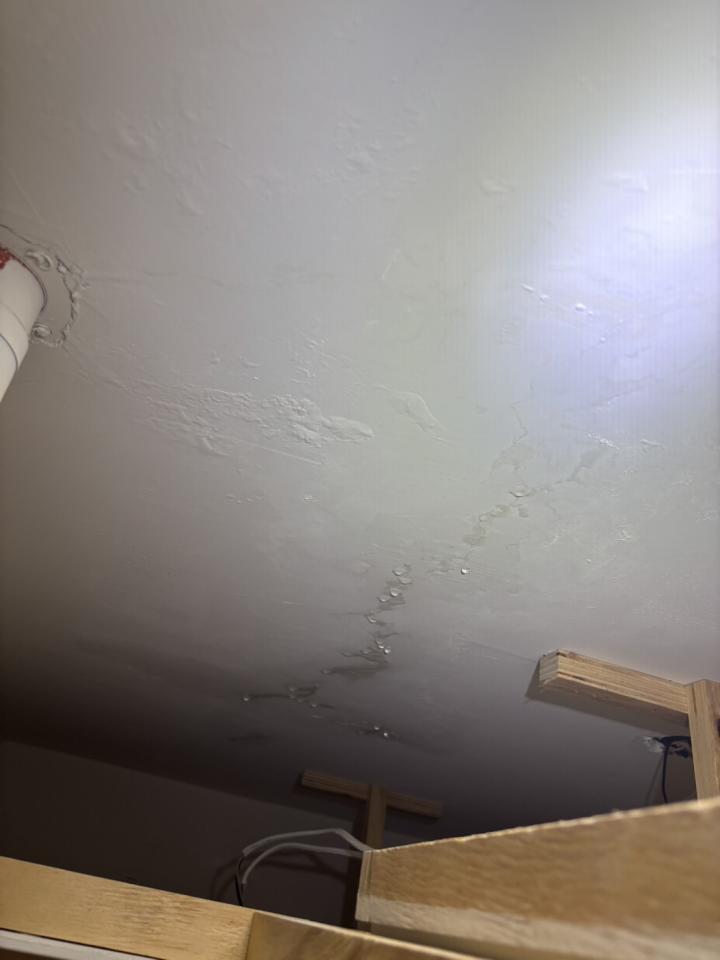 抓漏案件圖片
