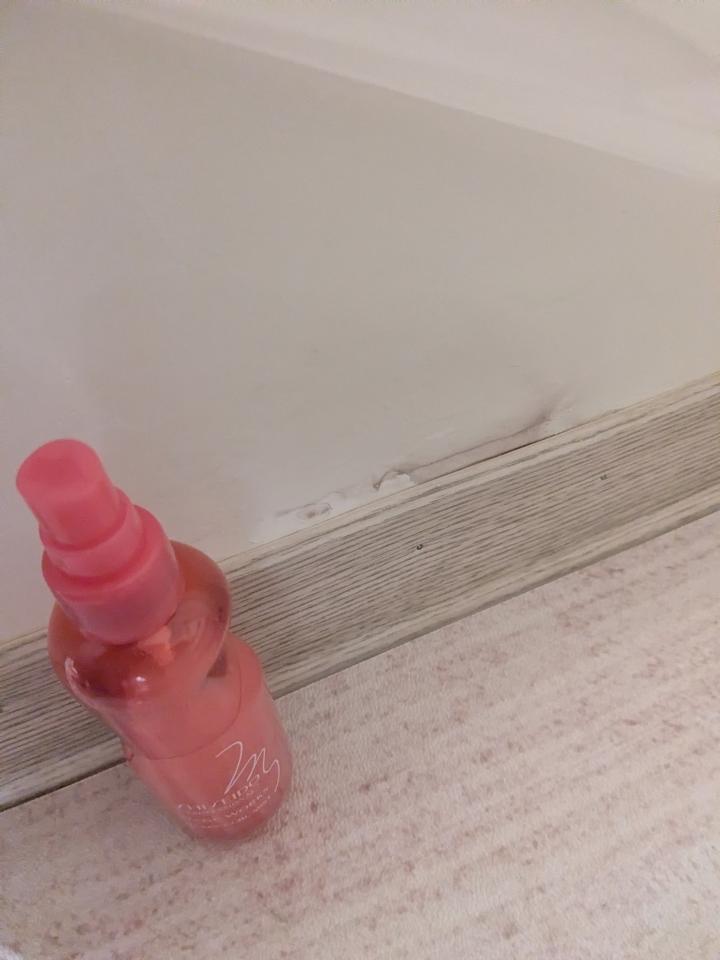 抓漏案件圖片