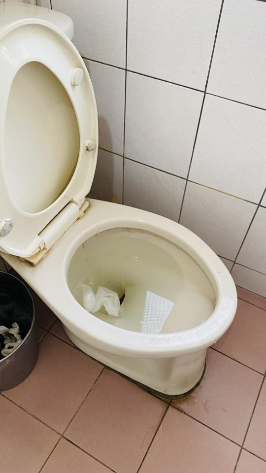 通馬桶案件圖片