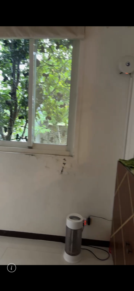 油漆工程案件圖片