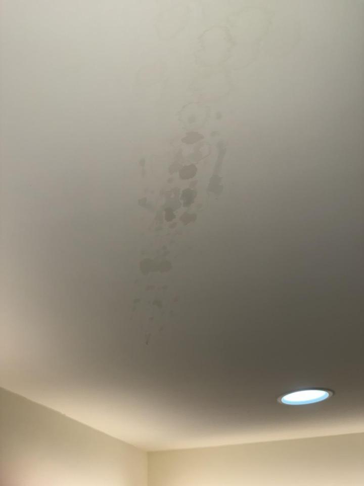 屋頂防水案件圖片